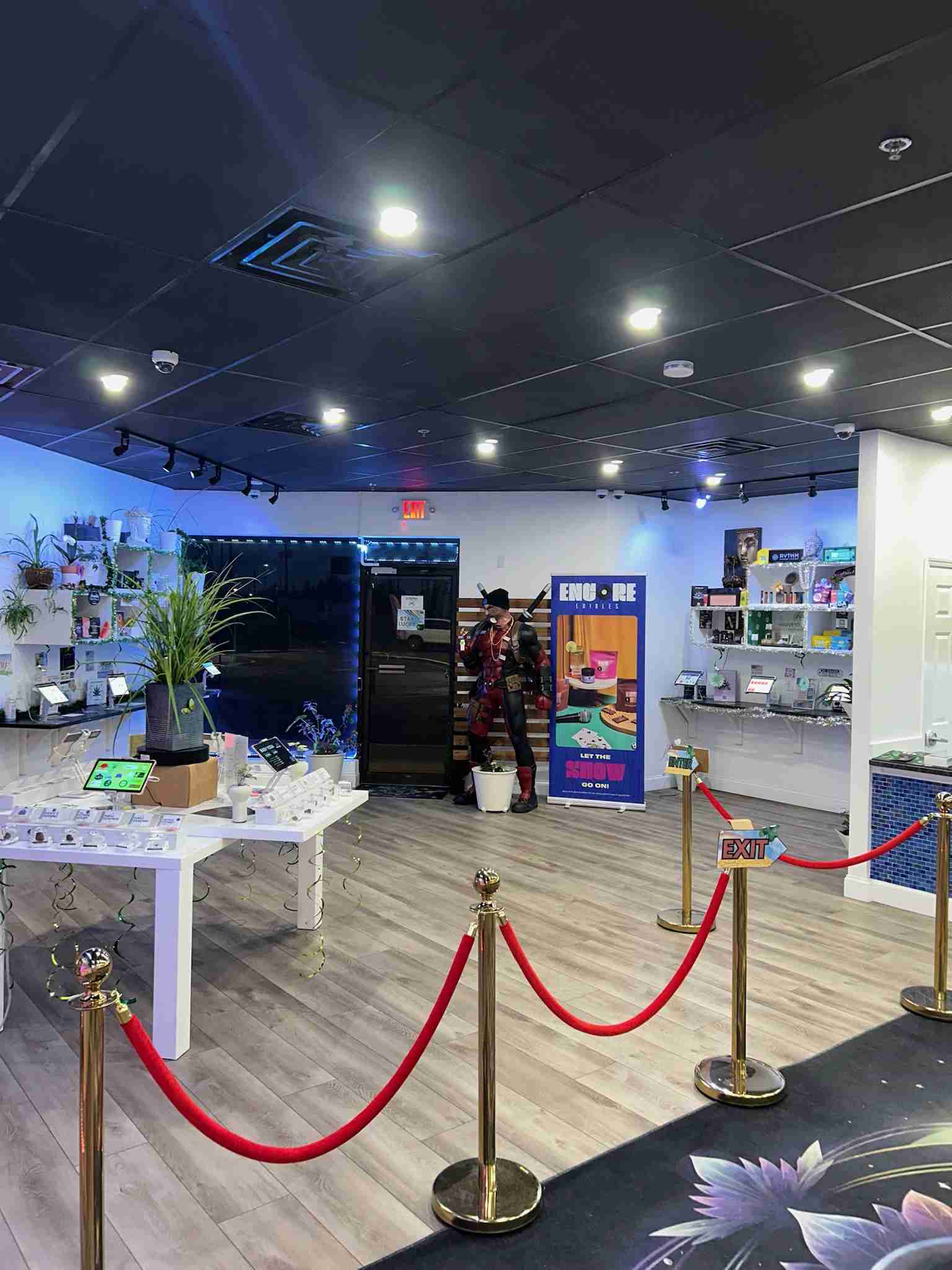 Interior of our budbar