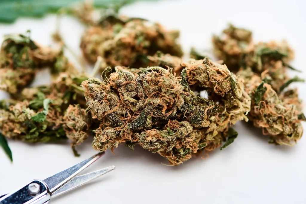 420 offer