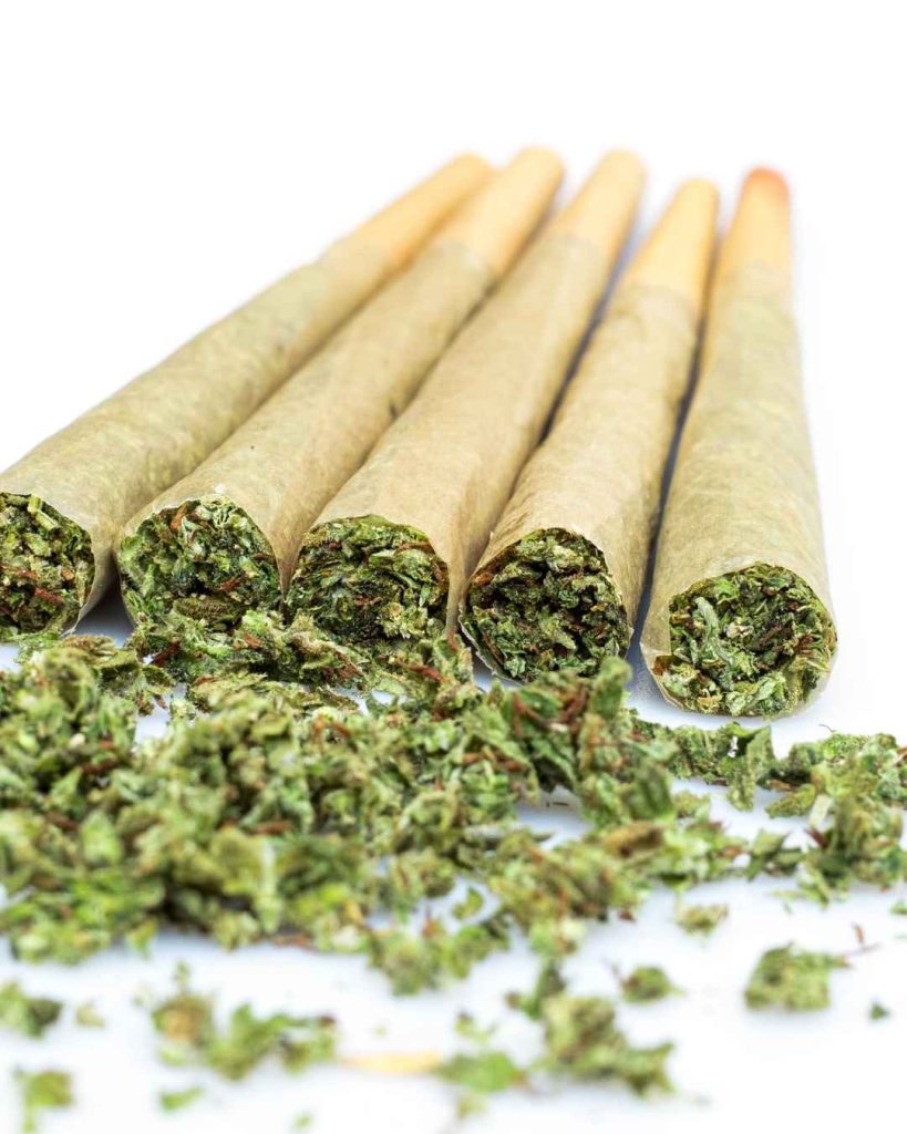 Five cannabis joints with loose marijuana on white